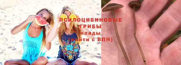 тгк Бородино