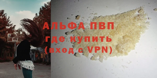 тгк Бородино