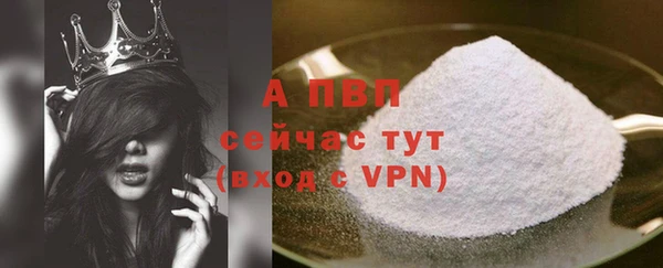 тгк Бородино