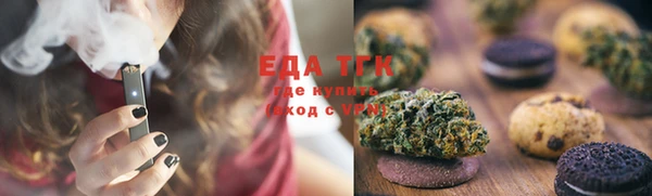 тгк Бородино