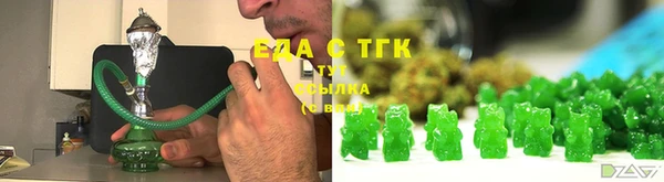 тгк Бородино