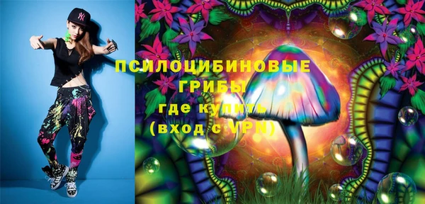 тгк Бородино