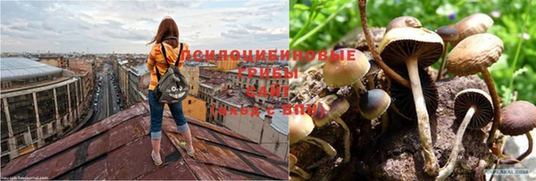 ALPHA PVP Бугульма