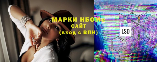 тгк Бородино
